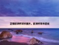正版欧洲杯球衣图片，欧洲杯球衣壁纸