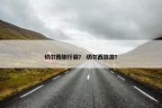 切尔西旅行袋？ 切尔西旅游？