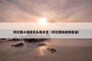 切尔西小狗球衣头像高清（切尔西狗老师是谁）