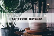 森纳vs波尔图完整，森纳尔童鞋图片