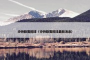 沙特联赛排球（沙特联赛排球最新消息）