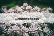 scp收容失效阵容的简单介绍