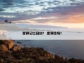 雷狮记忆回放？ 雷狮出场？