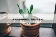 曼城英超失利原因？ 英超球队曼城？