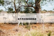 关于灵无缘欧冠的信息