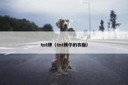 tnt牌（tnt牌子的衣服）