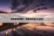 海底曼城花图片（海底漫步是什么意思）