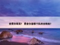 舍费尔球员？ 费舍尔是哪个队的主教练？