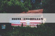 团结足球员（足球团结精神名言名句）