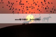 mvv哪个球队？ liv什么球队？