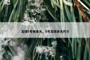 足球5号有多大，5号足球多大尺寸