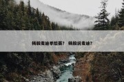 杨毅麦迪季后赛？ 杨毅说麦迪？