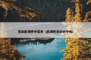 竞彩欧洲杯中奖率（欧洲杯竞彩好中吗）
