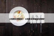 小恒看足球回放？ 小恒看足球回放在哪看？