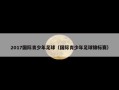 2017国际青少年足球（国际青少年足球锦标赛）