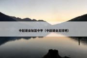 中超建业加盟中甲（中超建业足球吧）