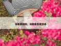 孙菲菲回放，孙菲菲出席活动