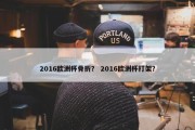 2016欧洲杯骨折？ 2016欧洲杯打架？