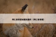 拜仁背景壁纸图文图片（拜仁背景板）