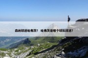 森纳球迷哈弗茨？ 哈弗茨是哪个球队球迷？