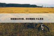 软底圆头切尔西，切尔西版型 什么意思