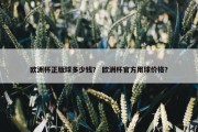 欧洲杯正版球多少钱？ 欧洲杯官方用球价格？