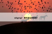 wbgrng？ 我不该让你孤单？
