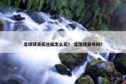 足球球员买庄园怎么买？ 足球球员号码？