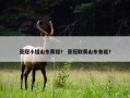 亚冠小组山东赛程？ 亚冠联赛山东鲁能？
