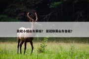 亚冠小组山东赛程？ 亚冠联赛山东鲁能？
