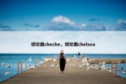 切尔西cheche，切尔西chelsea