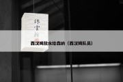 西汉姆放水给森纳（西汉姆队员）