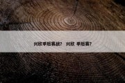 兴欣季后赛战？ 兴欣 季后赛？