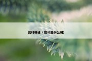 高科株硬（高科股份公司）