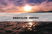联赛奖杯怎么分配（联赛杯奖杯）