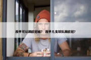 西甲可以踢欧冠嘛？ 西甲几支球队踢欧冠？
