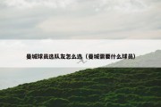 曼城球员选队友怎么选（曼城需要什么球员）