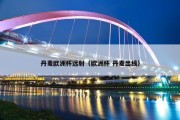 丹麦欧洲杯远射（欧洲杯 丹麦出线）