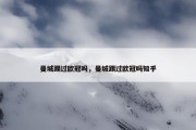 曼城踢过欧冠吗，曼城踢过欧冠吗知乎