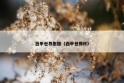 西甲世界集锦（西甲世界杯）