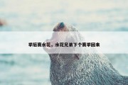 季后赛水花，水花兄弟下个赛季回来