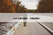 2022卡塔尔进球？ 卡塔尔球队？