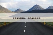 厄瓜多尔队回放，厄瓜多尔队阵容
