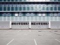 廊坊小学足球队？ 新区小学足球队？