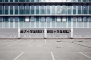 廊坊小学足球队？ 新区小学足球队？