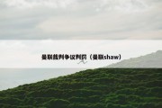 曼联裁判争议判罚（曼联shaw）