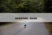 森纳圣诞节球迷，森纳动画