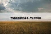 季后赛撞车图片大全集，季后赛对照图