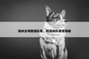 森纳主场震撼队歌，阿森纳队歌现场版