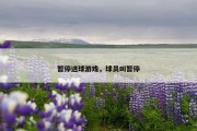 暂停进球游戏，球员叫暂停